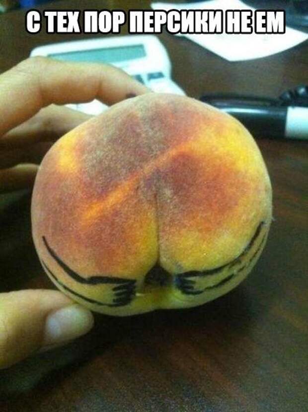 Прикольные фотомемы для отличного настроения (27 шт)