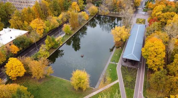 Обновление пруда в Гончаровском парке начнется в этом году