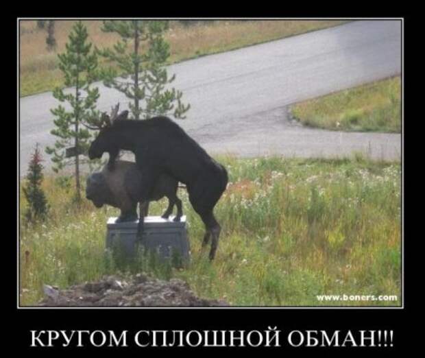 Картинки с надписями классная подборка демотиваторов.