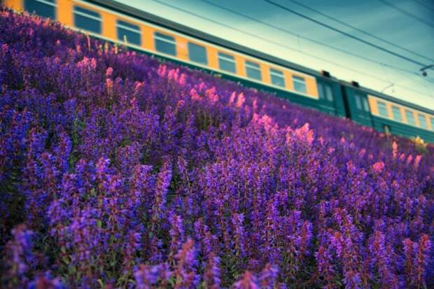 National Geographic: лучшие фотографии июня geographic, national, фотографии