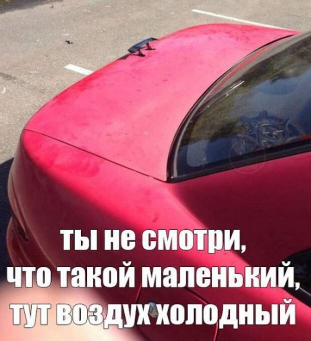 Новые фотоприколы на автомобильную тематику (29 шт)