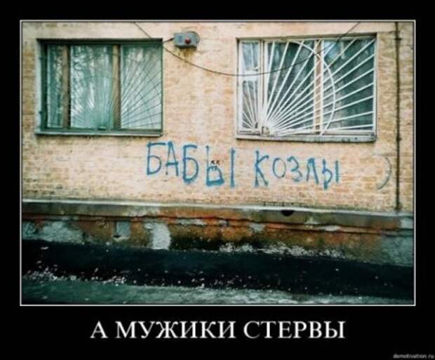 Картинки прикольные демотиваторы.