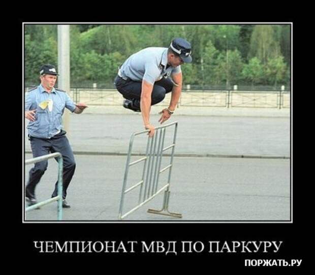 демотиваторы приколы