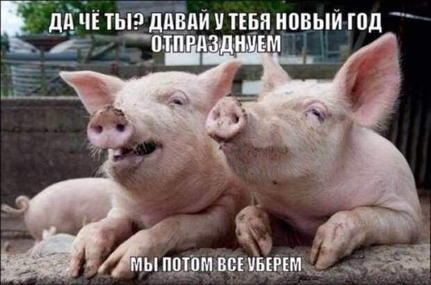 Первая подборка прикольных картинок в 2015 году