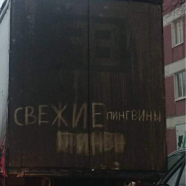 Свежие? Кто? асфальт, дорожная разметка, надписи на машинах, прикол