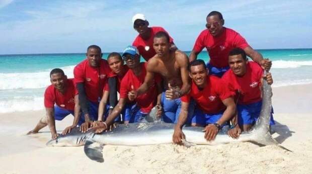 A shark caught in shallow water along a beach in the Dominican Republic was pulled from the ocean by a group of tourists and hotel lifeguards, who took pictures with its body after it died.
