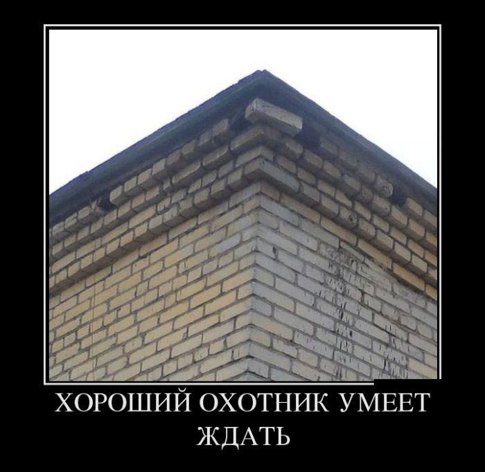 Демотиваторы №1091 (30 фото)