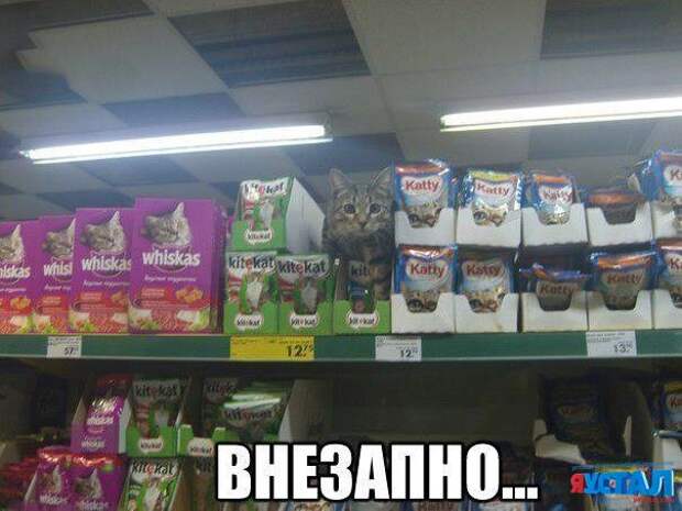Смешные картинки с надписями прикол, юмор