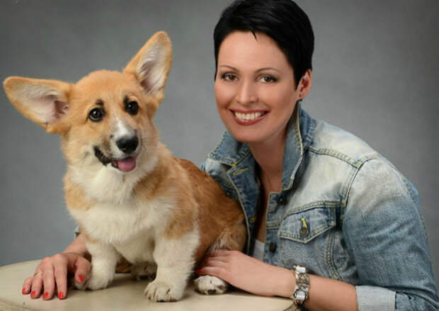 собака гоша