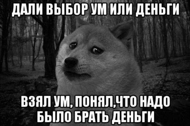 Подборка прикольных картинок картинка, прикол, шутка, юмор