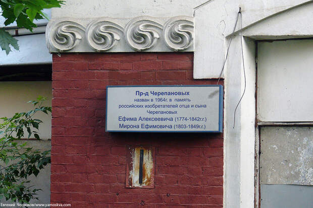 Московские птички 19
