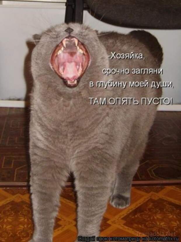 Осенняя подборка Котоматриц 2010 - Выпуск 22