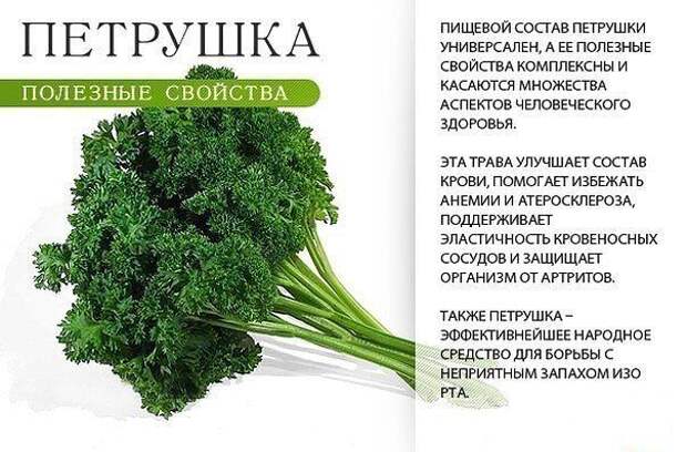 ПОЛЕЗНЫЕ СВОЙСТВА. Лайфхак, ПОЛЕЗНЫЕ СВОЙСТВА, факты
