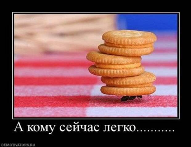 Демонтиваторы приколы.