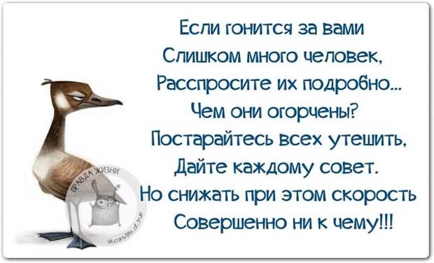 Прикольные картинки с позитивными фразками Прикольные картинки с позитивными фразками