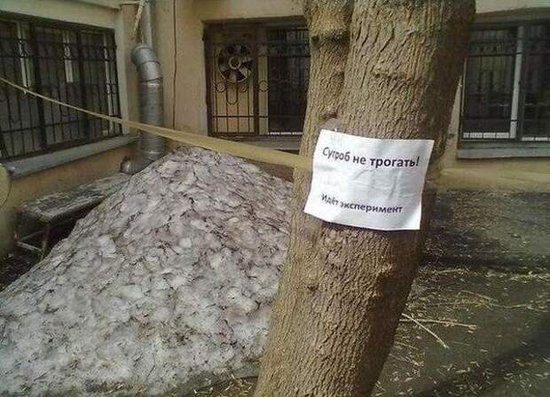 Незабываемые народные перлы Незабываемые народные перлы надписи, юмор