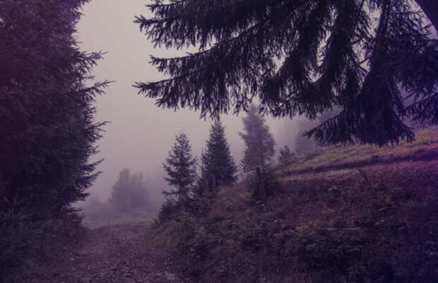 Эта мистическая история произошла с нами в Карпатах