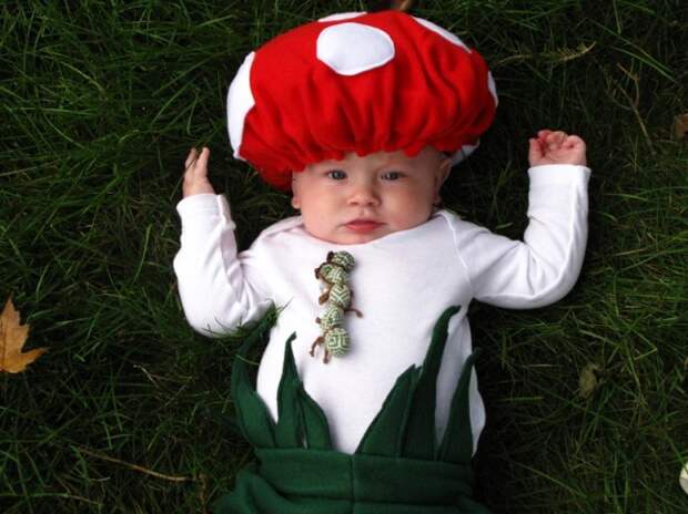 8-Mushroom-645x483