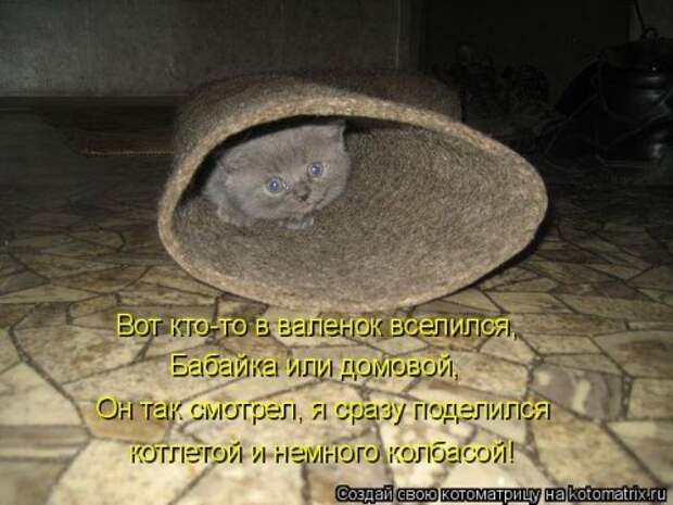 Новая котоматрица для хорошего настроения (28 фото)