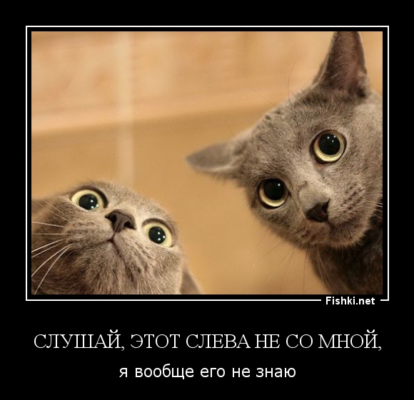 Демотиваторы демотиваторы