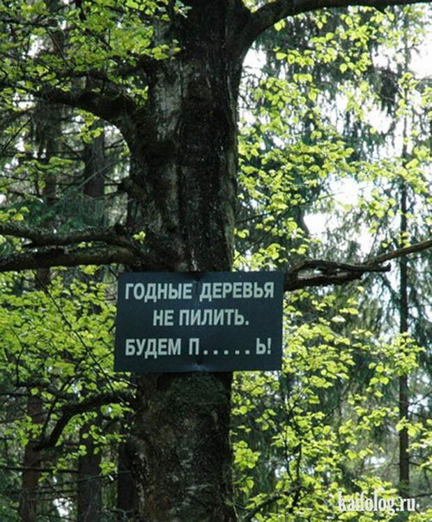 Объявления и надписи по-русски (50 фото)