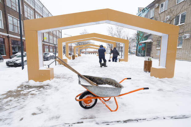 Губернатор предложил жителям Тульской области выходить семьями на уборку снега