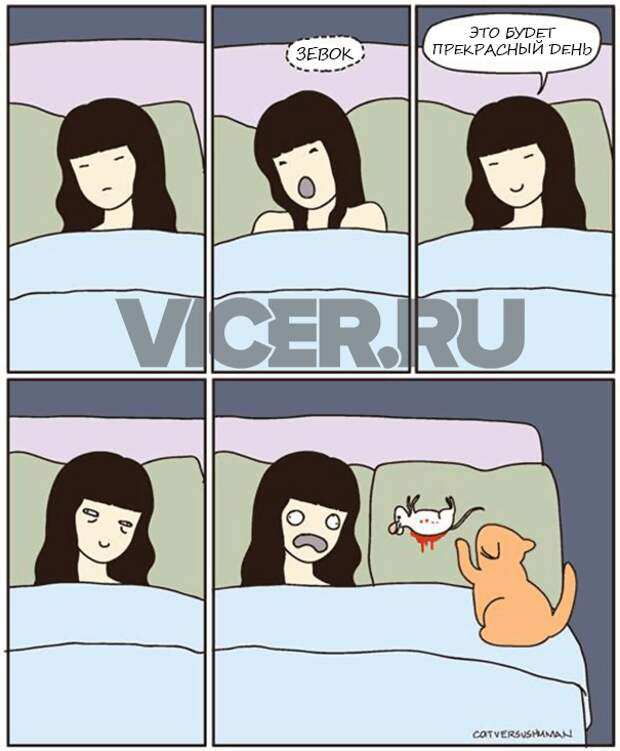 кошачья логика (3)