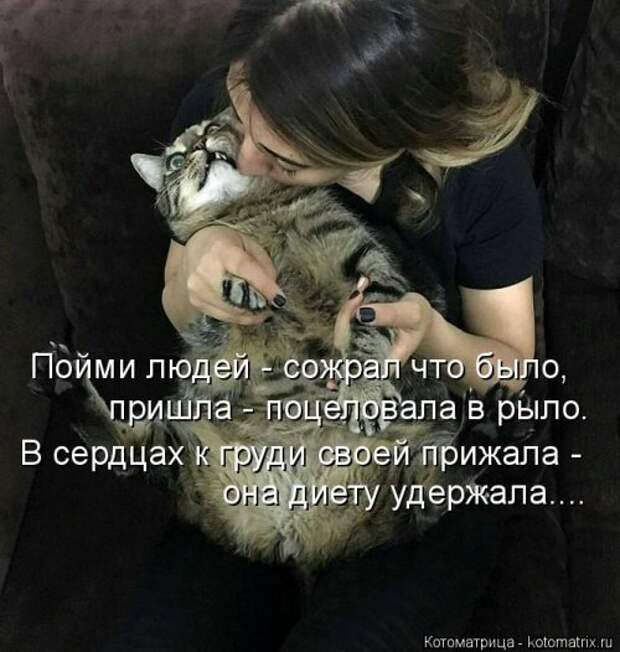 Новая и прикольная котоматрица на 22 сентября (29 фото)