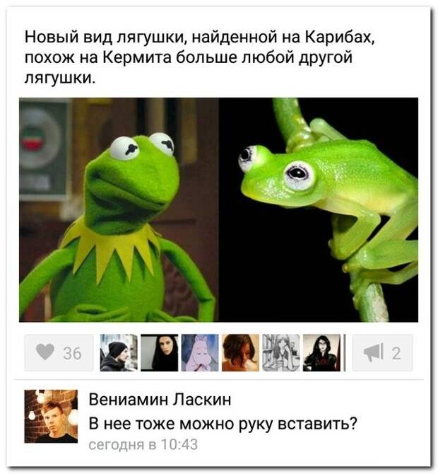 Смешные комментарии из социальных сетей (30 фото)