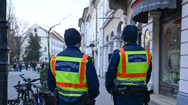 «Деньги украинской военной мафии»: что известно о задержании в Венгрии семерых украинцев с валютой и золотом