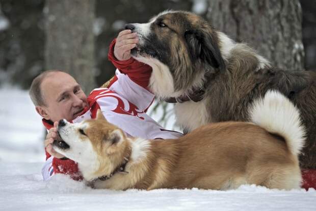 Putin_and_his_dogs-2 Putin_and_his_dogs-2