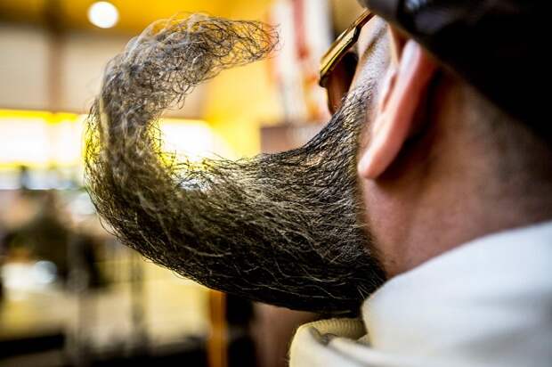 Чемпионат по бородам и усам