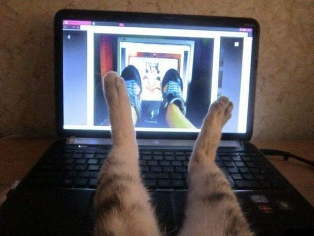 Фотоприколы кучей