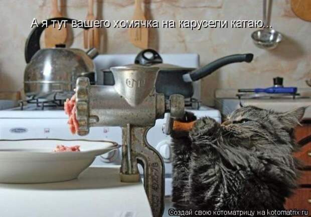 Котоматрица Котоматрица