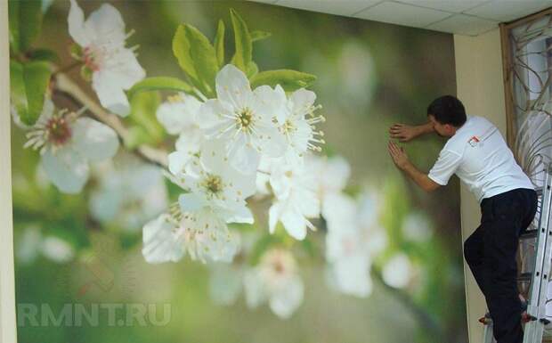 Как клеить фотообои
