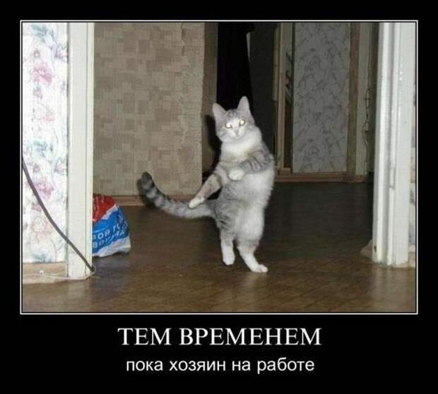 Демотиваторы (34 фото)