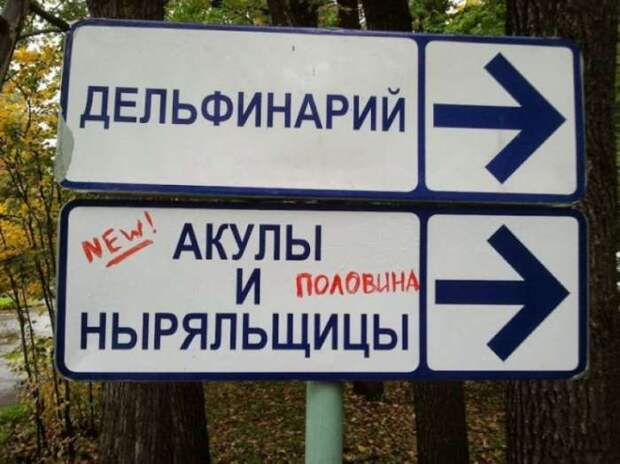 Смешные надписи и объявления Смешные надписи и объявления