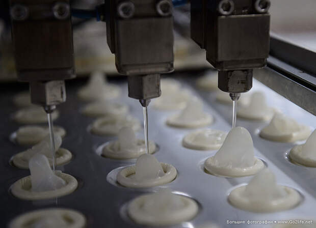 Амазонская фабрика любви