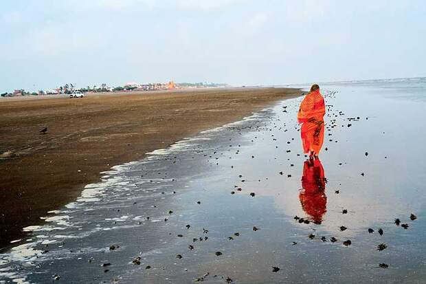 Пляж Мандармани. 7 самых чистых и спокойных пляжей Индии