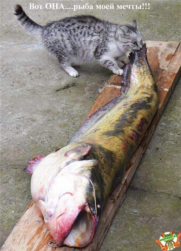 Вот это взаимопомощь!