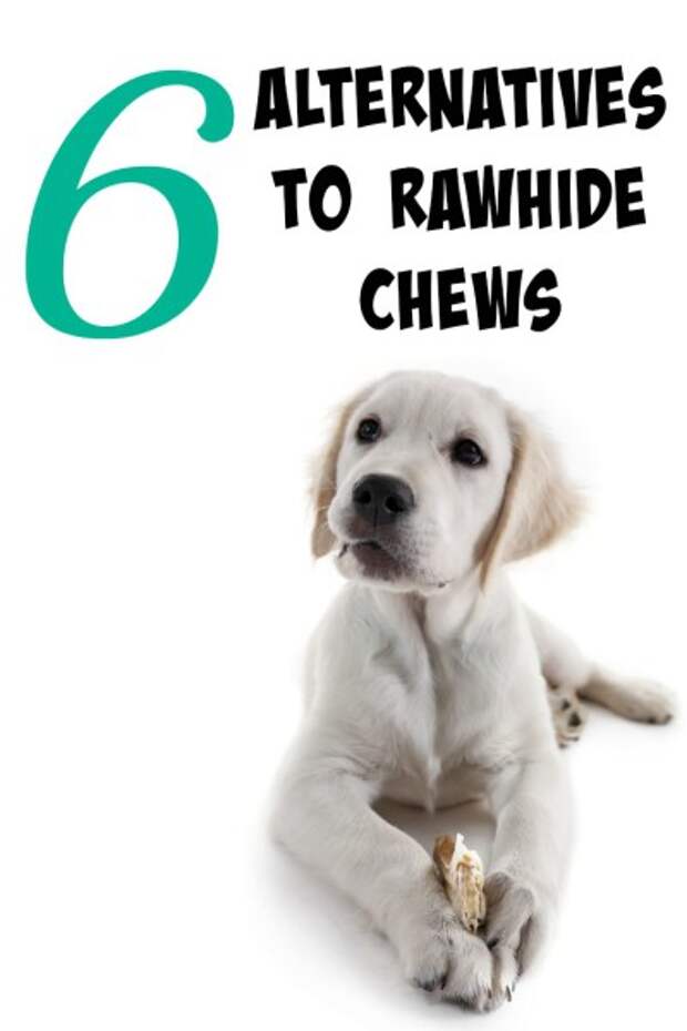 Are you ever struggling with how to keep your dog busy? With all the negatives to rawhide, we had to find another outlet for the dogs to chew. Click through to see our 6 alternatives to rawhide chews.