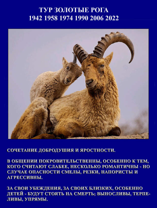 Узнай свой потенциал по славянскому гороскопу гороскоп, предсказания, славянский гороскоп, тотемный гороскоп