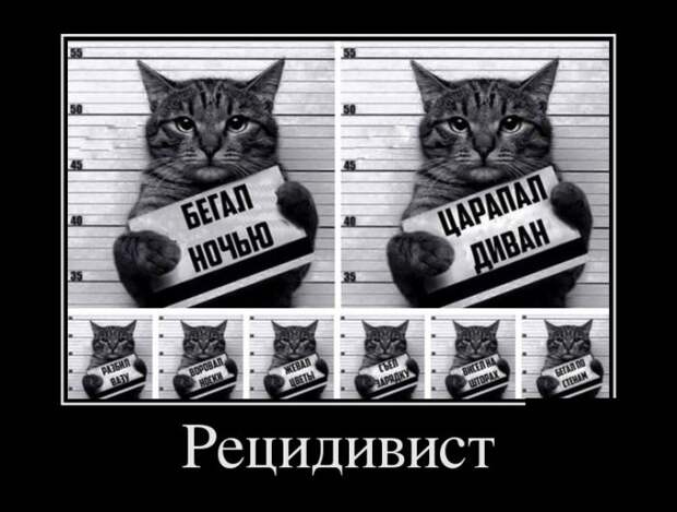 Демотиваторы (30 фото)
