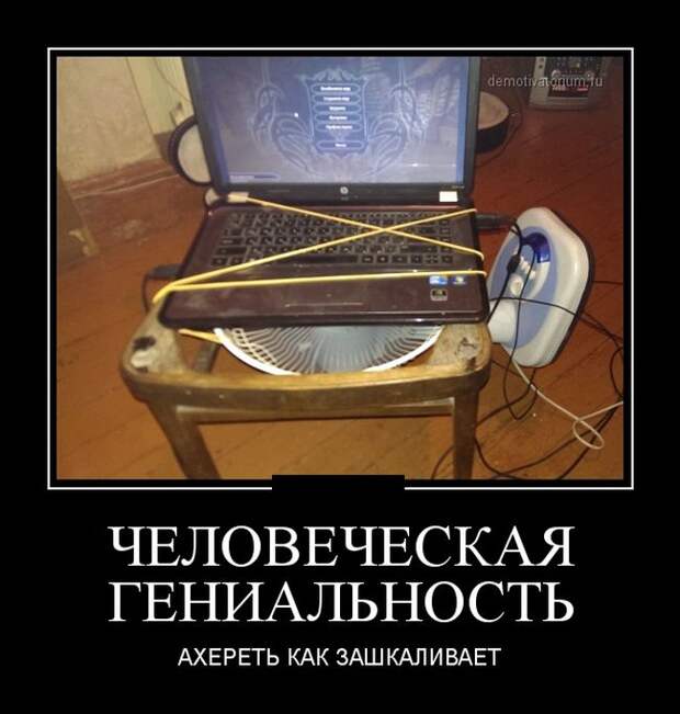 Подборка  демотиваторов демотиваторы, юмор