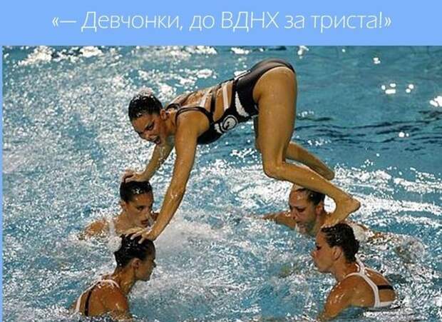 Эти забавные синхронистки  вода, синхронистки, спорт, юмор