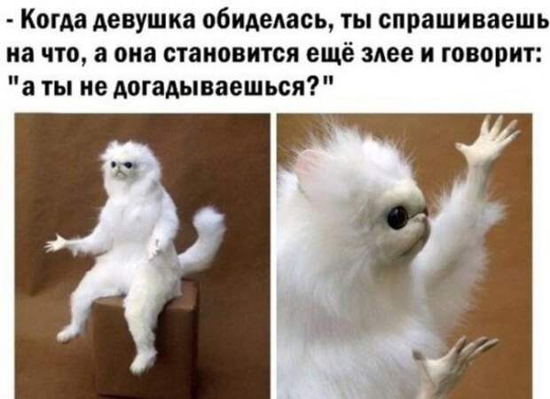 Прикольные картинки с надписями=))