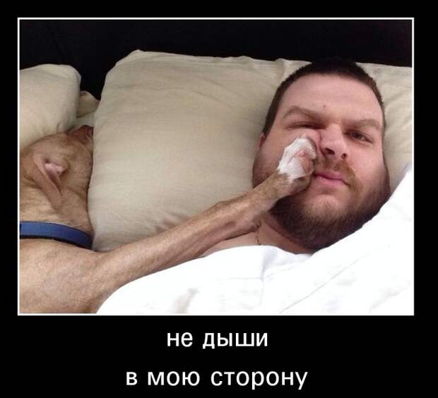 Пятничная подборка демотиваторов демотиватор, юмор