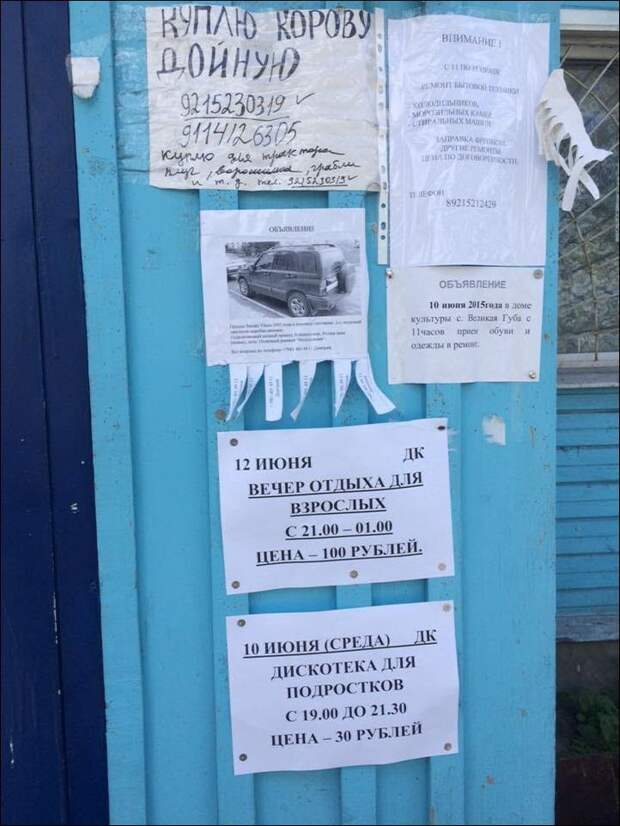 Прикольные надписи и объявления объявления.надписи, юмор