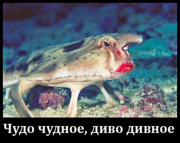 https://lh6.googleusercontent.com/-ER5zsgpOKR4/U1aI3HCfs0I/AAAAAAAAG_Y/-umJq-alLEU/w624-h499/0_gtree.jpg