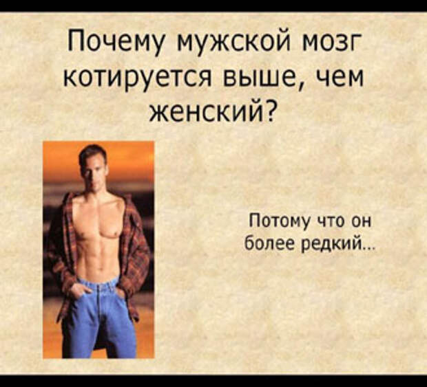 Мужчины глазами женщин